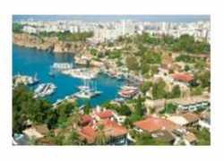 blog.milliyet.com.tr Alimli