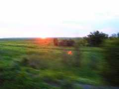 castingarea.com Alipiev