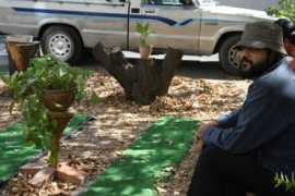 my.parkingday.org Alireza