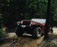 ladyjeep.com Alissa
