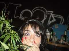 fotolog.com Alisto