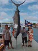 billfishclub.com Aliven