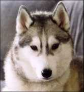 Alix