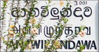 tamilnet.com Aliyaa