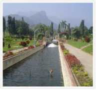travelchacha.com Aliyar