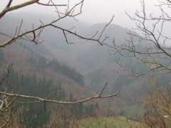 panoramio.com Alkiza