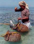 bahartsociety.org.bh Alkoofi