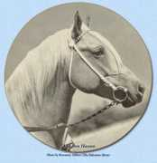 Allaben