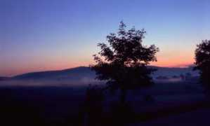Alland