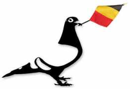 derbyatlantic.com Allemeersch