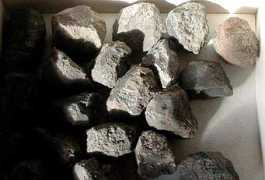paleozoic.org Allendes