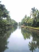 indiadestinationtours.com Alleppey