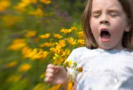 sonihospitals.com Allergy