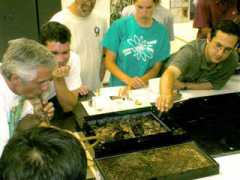 tightloop.com Allesh