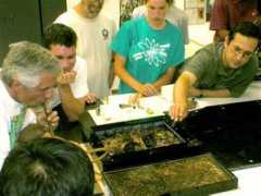 tightloop.com Allesh