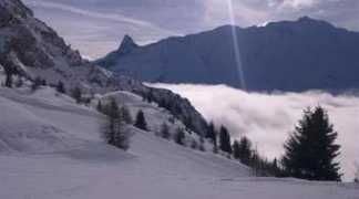 bluebirddays.co.uk Alliette