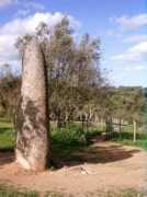 zizitop.eklablog.net Almandes