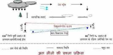 abhivyakti-hindi.org Alnino