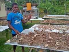 fijitimes.com Alosio