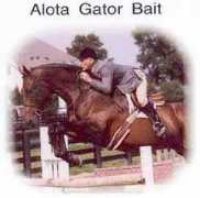 Alota