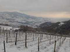 Alpone