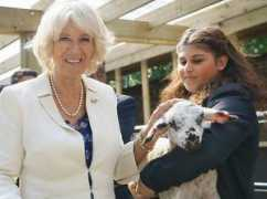 express.co.uk Alsaady