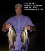 lakevilbig.org Alsand