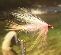 salmonflies.net Alsea