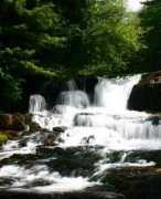 oregonwaterfalls.net Alsea