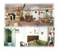 alshaheen.com.sa Alshaheen