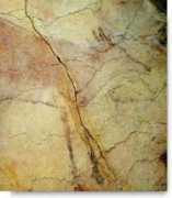 Altam