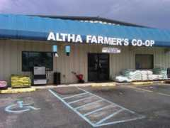 Altha