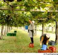 travelclassics.com Alvarino