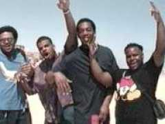 springbreak.com Alvendo