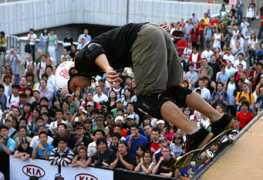 skatelog.com Alviin