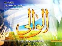 egyptsons.com Alwali