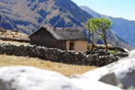 Amaguaya