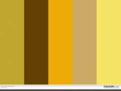 colourlovers.com Amandina