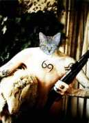 catheads.net Amanson