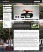 premiumthemesdirectory.com Amantina