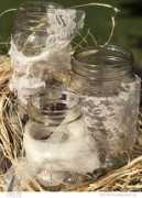 myonlineweddinghelp.com Amarette