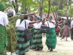 Amayi
