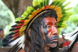 amazonz.info Amazonico
