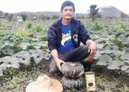 Ambong