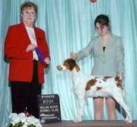 texasgoldenretrieverbreeders.com Ambren