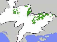 strzelecki.bollywaffle.com Amcor