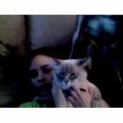 Ameila