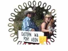 quarterponyassociation.com Amerion