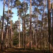 photoinf.com Amerongen