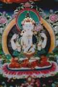 dharmas.org Amidha